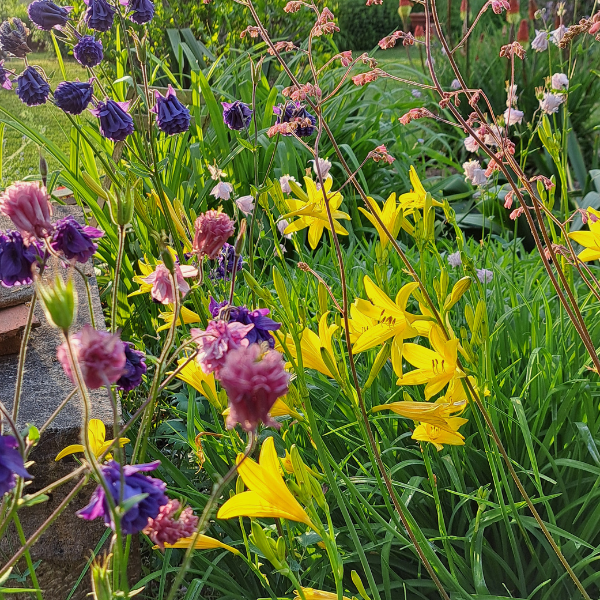 bain de fleurs